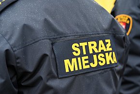 Zapuka strażnik, zapłacisz karę. Ruszyły kontrole w całej Polsce-28546