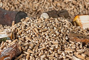 Drożeje popularny opał. Miliony Polaków dostaną po kieszeni tej zimy-28702