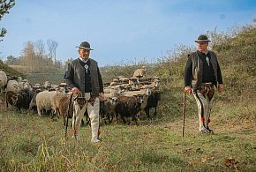 IX redyk w Grucznie: baranina, góralska muzyka i tradycja-28763