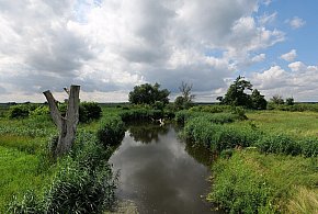 Co dalej z nowym parkiem narodowym? Minister klimatu zdradza plan po wecie-28844