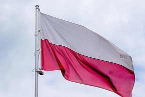 Godło i flaga mogą wyglądać inaczej. Ruszyły prace nad symbolami państwowymi-29345