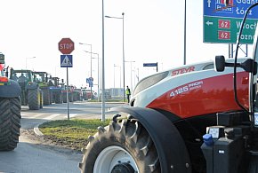 Rolnicy zapowiadają protest w całym kraju. Skala może zaskoczyć-29374