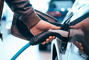 Coraz częściej dochodzi do takich kradzieży. Powody zaskakują-29632