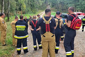 10-latka błąkała się po zmroku. Przeszła 4 kilometry