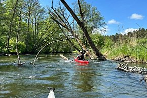Bory Tucholskie zapraszają! Już w sobotę Święto Turystyki Naturalnej w Tleniu