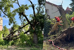 Świecie w centrum burzy, zniszczone auta i budynki