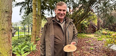Sezon na grzyby w pełni! Leśniczy podpowiada, gdzie szukać prawdziwków-28509