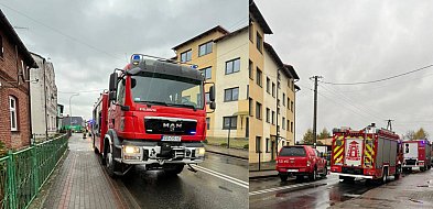 Pożar w Osiu. Zapalił się kuchenny okap-28709