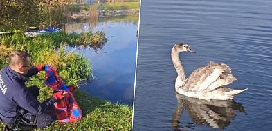 Kobieta bała się wyjść z domu. Policjanci z Osia ruszyli na pomoc-28971