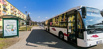 Świąteczna komunikacja miejska w Świeciu-29323