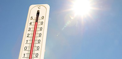 Poznaj Miejski Plan Adaptacji do zmian klimatu i podziel się opinią-29524