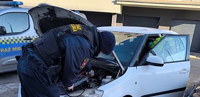 Mrozy nie odpuszczają. Służby kontrolują pustostany i budy dla psów