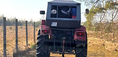 Niebezpieczny „nadkomplet” w ciągniku. 74-latek stracił prawo jazdy w Płochocinku