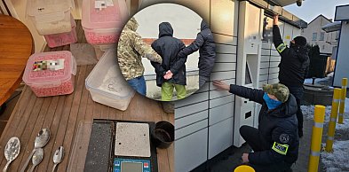Narkotykowy biznes przez paczkomaty rozbity. 44-latek w areszcie