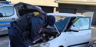 Mrozy nie odpuszczają. Służby kontrolują pustostany i budy dla psów