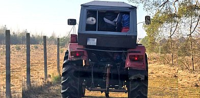 Niebezpieczny „nadkomplet” w ciągniku. 74-latek stracił prawo jazdy w Płochocinku