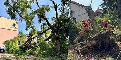 Świecie w centrum burzy, zniszczone auta i budynki