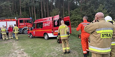 67-latka wyszła na grzyby i nie wróciła. Od wczoraj szukały jej służby-28447