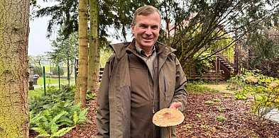 Sezon na grzyby w pełni! Leśniczy podpowiada, gdzie szukać prawdziwków-28509