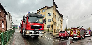 Pożar w Osiu. Zapalił się kuchenny okap-28709