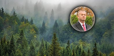 Świecie kupuje lasy nawet w Warlubiu i Jeżewie-29389