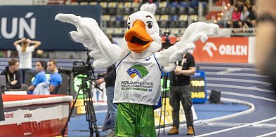 HMŚ Kujawy Pomorze 26: Sportowe święto wyjdzie poza halę. Co czeka kibiców?