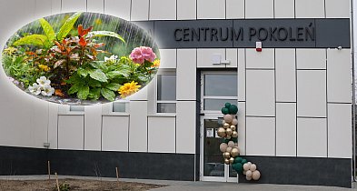 Pierwszy deszczowy ogród w Świeciu powstanie na Mariankach-28360