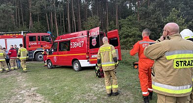 67-latka wyszła na grzyby i nie wróciła. Od wczoraj szukały jej służby-28447