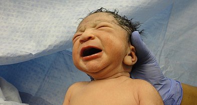 Radna pyta: Czy świeckiej porodówce grozi zamknięcie?-28694