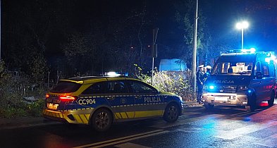 Pijany kierowca zabił kobietę-28811