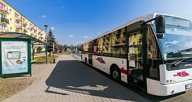 Świąteczna komunikacja miejska w Świeciu-29323