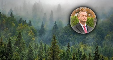 Świecie kupuje lasy nawet w Warlubiu i Jeżewie-29389