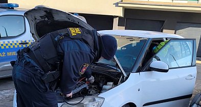 Mrozy nie odpuszczają. Służby kontrolują pustostany i budy dla psów