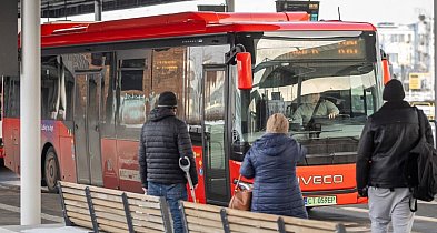 Autobusem ze Świecia do Chełmna i Torunia szybciej i częściej