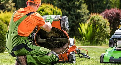 Wiosenna reanimacja murawy. Jak przywrócić trawnik do formy po trudnej zimie?