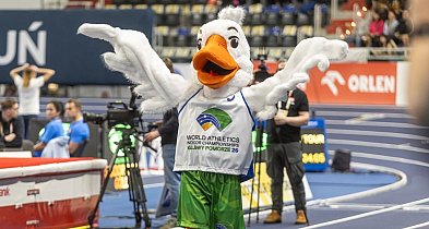 HMŚ Kujawy Pomorze 26: Sportowe święto wyjdzie poza halę. Co czeka kibiców?