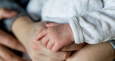 Chcesz zachować ciągłość wypłat 800 plus? ZUS sprawdza pracę i szkołę