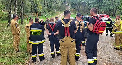 10-latka błąkała się po zmroku. Przeszła 4 kilometry