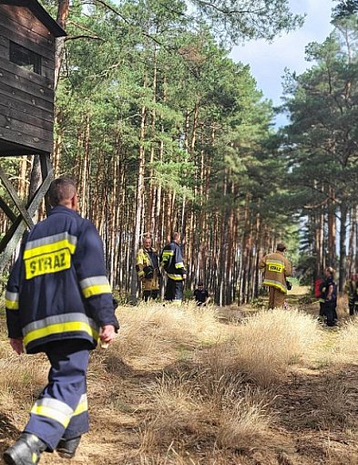 Zaginął 35-latek w lesie. Policja, straż pożarna i leśnicy w akcji! ZDJĘCIA-28329