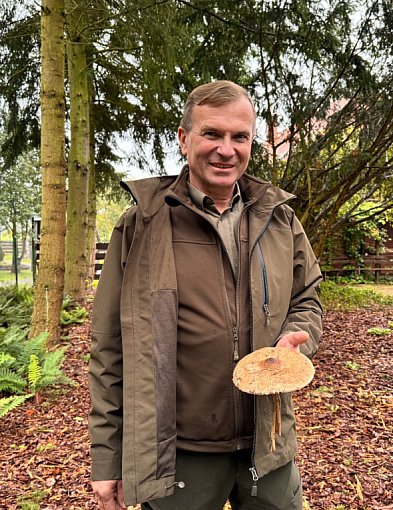 Sezon na grzyby w pełni! Leśniczy podpowiada, gdzie szukać prawdziwków-28509