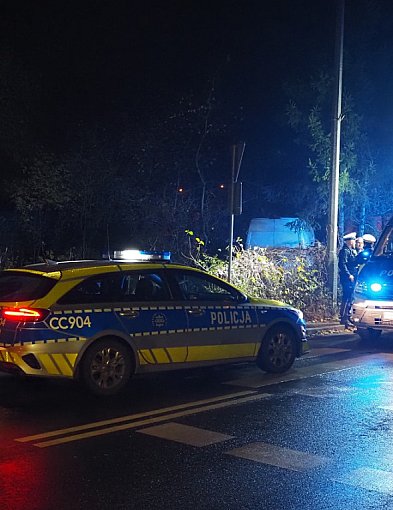 Pijany kierowca zabił kobietę-28811