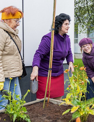Seniorki stworzyły ogród, który łapie deszcz i niesie radość-29154