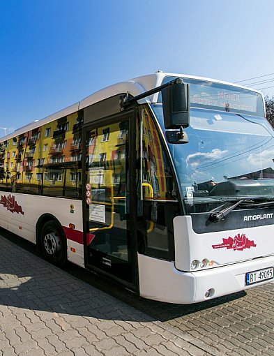 Świąteczna komunikacja miejska w Świeciu-29323