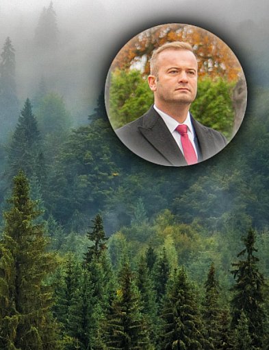 Świecie kupuje lasy nawet w Warlubiu i Jeżewie-29389