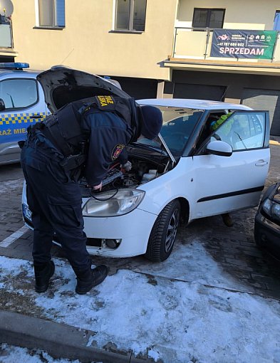 Mrozy nie odpuszczają. Służby kontrolują pustostany i budy dla psów