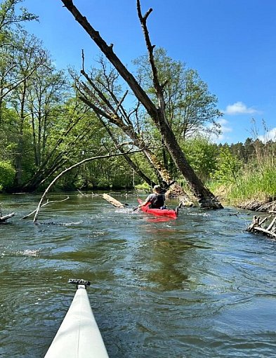 Bory Tucholskie zapraszają! Już w sobotę Święto Turystyki Naturalnej w Tleniu