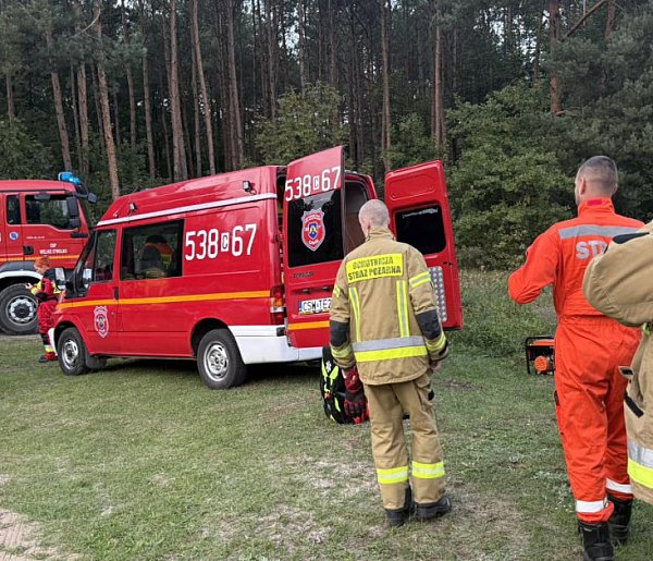 67-latka wyszła na grzyby i nie wróciła. Od wczoraj szukały jej służby-28447