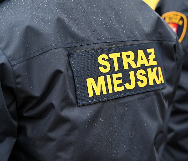 Zapuka strażnik, zapłacisz karę. Ruszyły kontrole w całej Polsce-28546