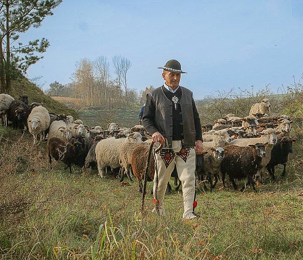 IX redyk w Grucznie: baranina, góralska muzyka i tradycja-28763