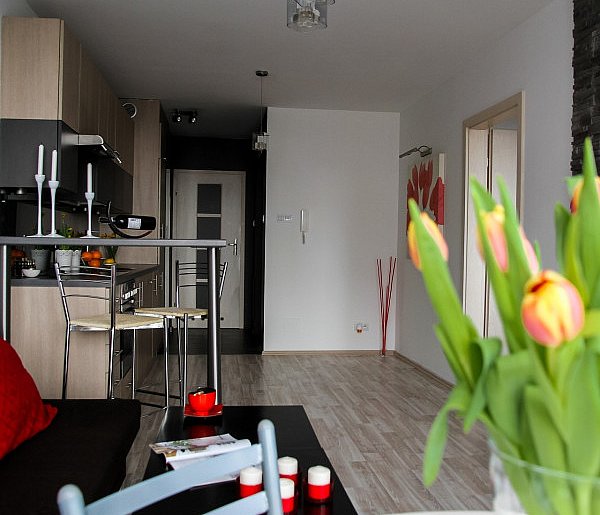 Rewolucja w wynajmie na doby. Nadchodzi koniec "wolnej amerykanki"-29123